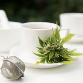 The Benefits of Hemp Tea