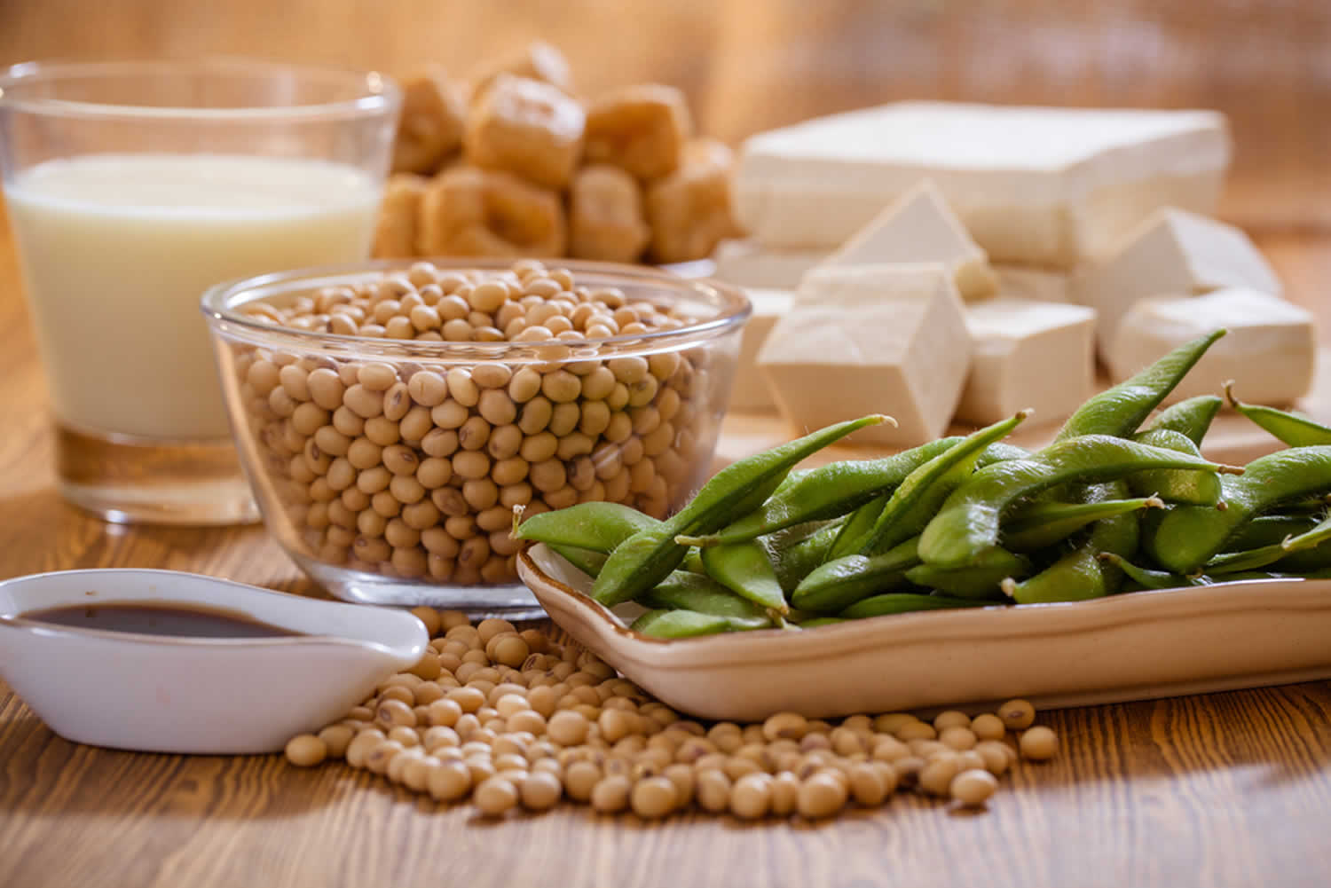 Phytoestrogens foods 1